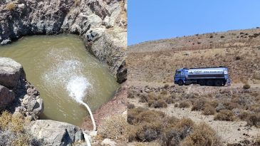 İzmir'de Kuraklık Yaban Hayatını Olumsuz Etkiledi: Hayvanlar İ&ccedil;in Su Taşındı