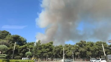 İzmir'de vatandaşlar bunu merak ediyor: R&uuml;zgar ne zaman duracak?