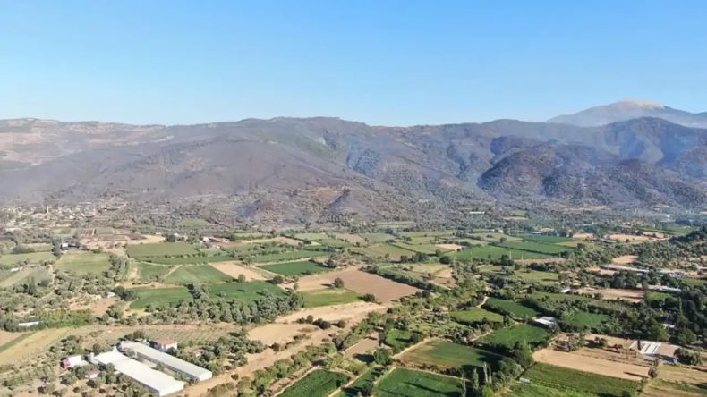 İzmir'de Yangın Felaketi: Dağlar Siyaha Dönüştü