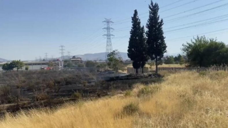 İzmir'de Yangın Paniği: Otluk Alanda Başlayan Alevler AVM Otoparkına Ulaştı