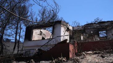 İzmir'de Yangın Sonrası Hasar Tespiti Tamamlandı: 153 Yapı Etkilendi