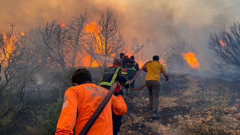 İzmir'de yangınla mücadeleye BUCAKUT desteği: Farklı noktalarda sahaya çıktılar