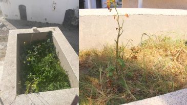 İzmir'deki Soğancı Dede T&uuml;rbesi Nerede? Soğancı Dede T&uuml;rbesi'ne ESHOT ile Nasıl Gidilir?