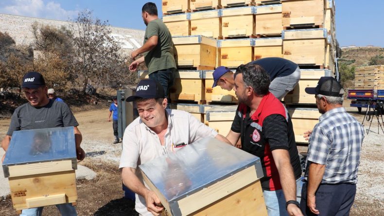 İzmir'deki Yangın Sonrası Köylerin Yüzü Gülecek: Zarar Gören Hayvanlar ve Arı Kovanları İçin Destek!