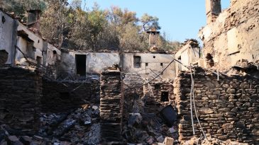 İzmir'deki Yangın: Tosunlar Mahallesi Yok Olma Tehlikesiyle Karşı Karşıya