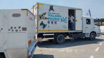 İzmir'deki yangından kurtarıldılar: Yaralı hayvanların tedavisi s&uuml;r&uuml;yor
