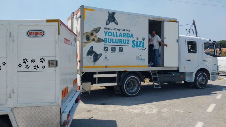 İzmir'deki yangından kurtarıldılar: Yaralı hayvanların tedavisi sürüyor
