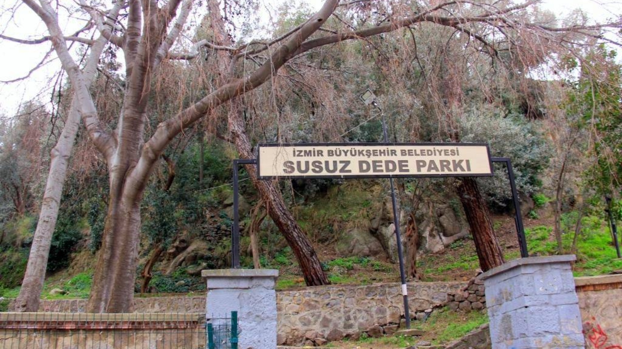 Susuz Dede Tepesi