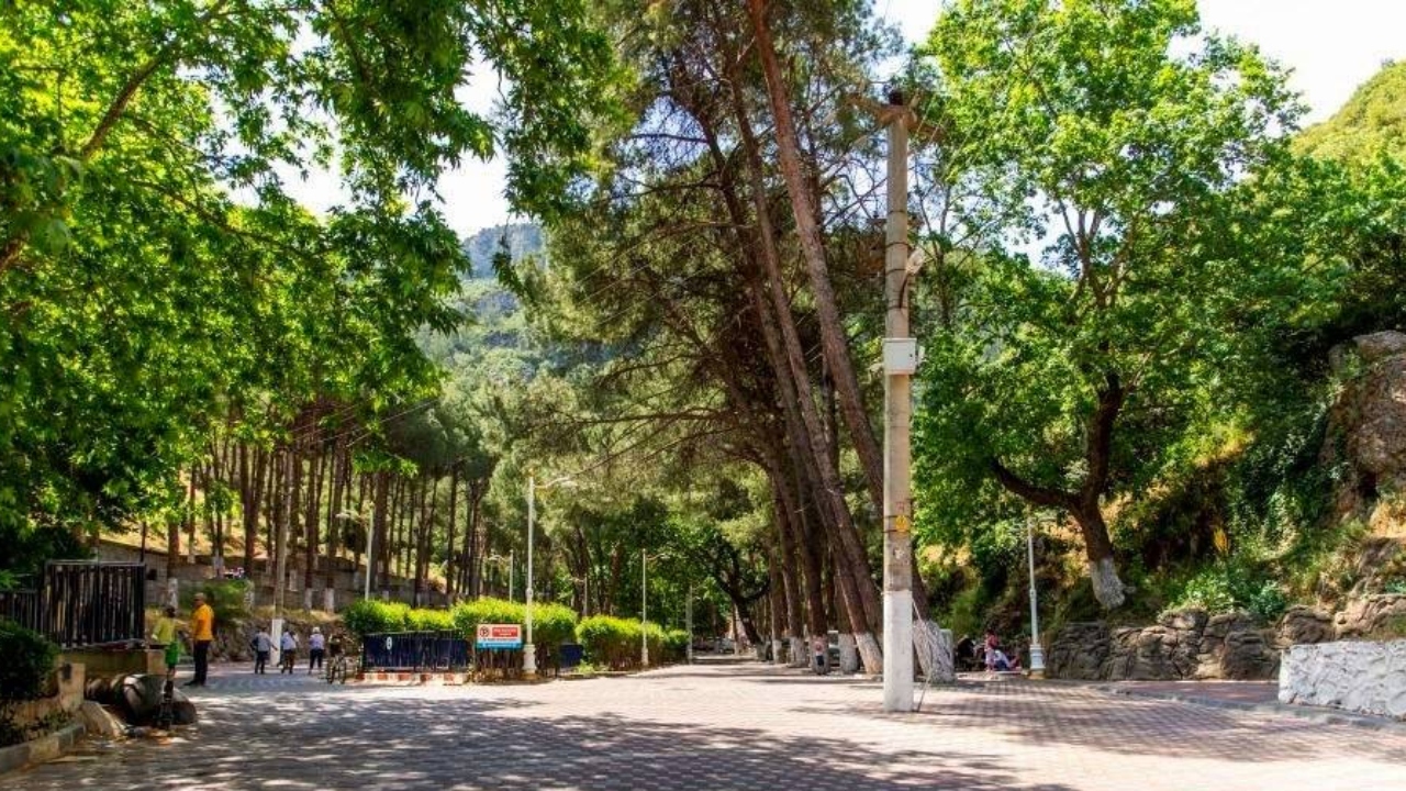 Kemalpaşa Dere Mesire Alanı