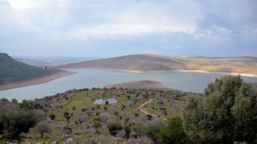 İzmir&rsquo;de G&uuml;zelhisar Barajı Tartışmaları Devam Ediyor: PETKİM'den A&ccedil;ıklama
