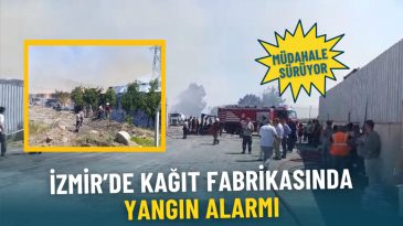 İzmir&rsquo;de Kağıt Fabrikasında Yangın &Ccedil;ıkması: Alevler G&ouml;ky&uuml;z&uuml;n&uuml; Kapatıyor, M&uuml;dahaleler S&uuml;r&uuml;yor