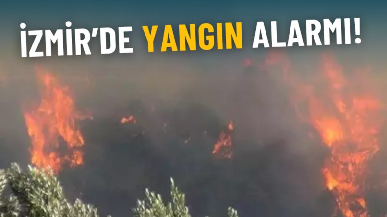 İzmir’de Orman Yangını: Bornova’daki Alevler Buca’ya Sıçradı, Müdahale Devam Ediyor