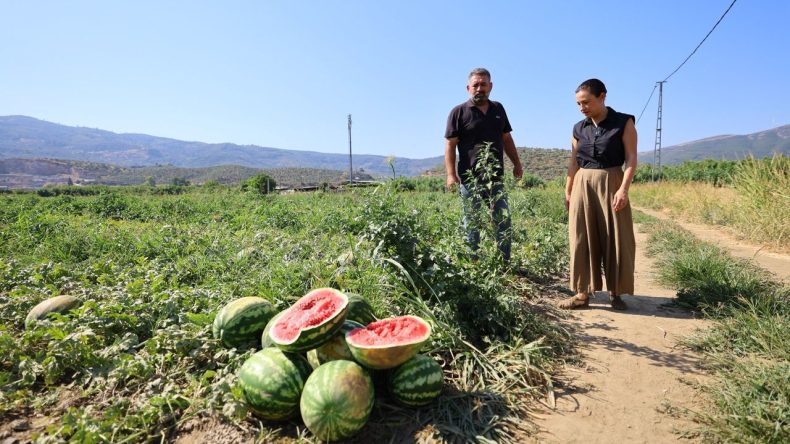 İzmir’de Üreticinin Ürünü Tarlada Kalıyor: Toprağa Gömüyorlar
