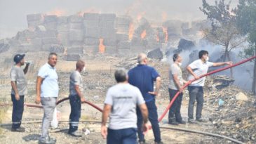 İzmir&rsquo;de Yangınlar: Torbalı ve Urla'da Alevlere M&uuml;dahale