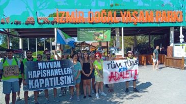 İzmir&rsquo;de Zeus ve Pars İ&ccedil;in Y&uuml;kselen Sesler: Hayvanat Bah&ccedil;elerine Değil, Yaşayan Ormanlara İhtiyacımız Var