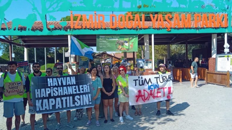 İzmir’de Zeus ve Pars İçin Yükselen Sesler: Hayvanat Bahçelerine Değil, Yaşayan Ormanlara İhtiyacımız Var