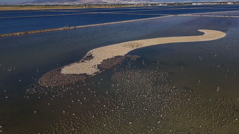 İzmir’e 13 bin yeni misafir: Kreş hayatına adım attılar!