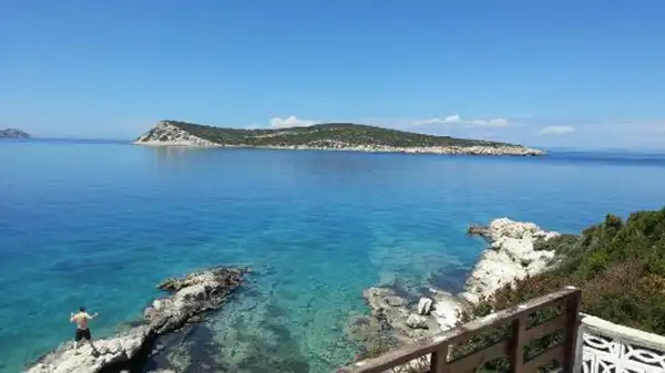 Akvaryum Koyu