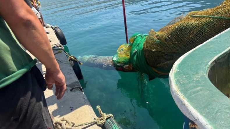 Karaburun'da Şaşırtıcı Olay: Ağlara 5 Metrelik Torpido Takıldı