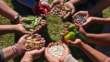 &lsquo;S&uuml;per İzin&rsquo; İle Gıda Hakkı Tehdidi
