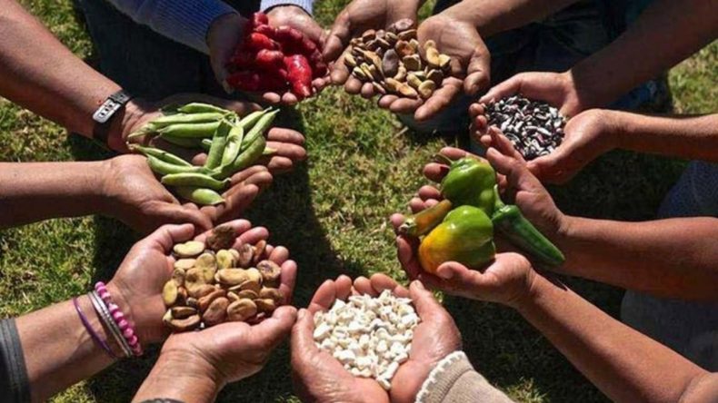 ‘Süper İzin’ İle Gıda Hakkı Tehdidi