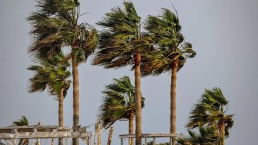 Meteoroloji Uyarıyor, İzmirliler Dikkat: Şiddetli R&uuml;zgar Devam Ediyor, Sıcaklık Y&uuml;kseliyor!