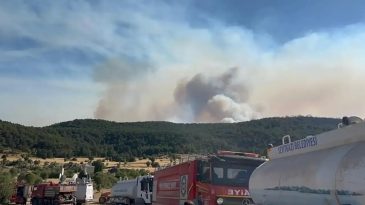 Orman Yangınında Şehit Olan 10 Kişinin İsimleri Belirlendi