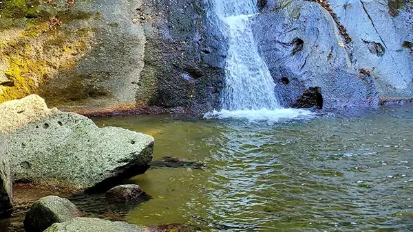 Ormanlı Köyü Plajı