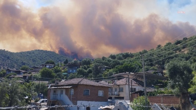Ödemiş’te Orman Yangını Sürüyor: Kayıplar ve Tahliyeler Mevcut
