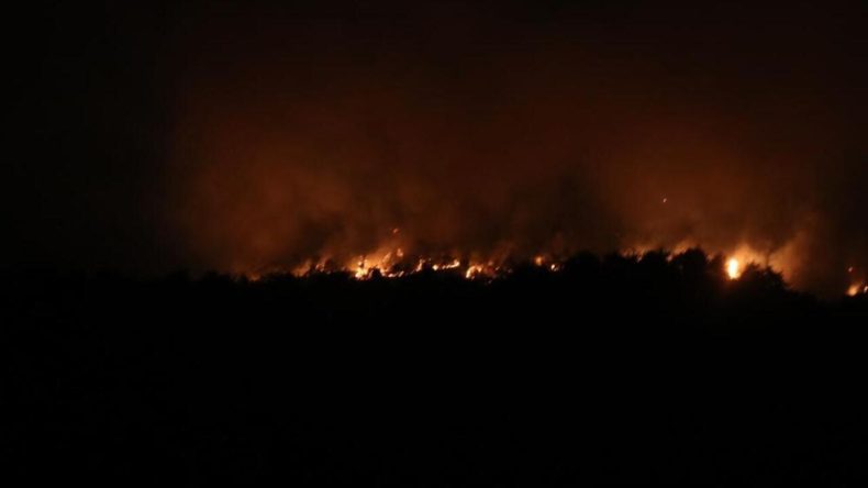 Sakarya'da Yangın 28 Saatte Kontrol Altına Alınamadı: Müdahale Devam Ediyor