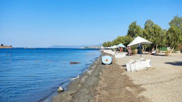 Seferihisar'ın Durgun Denizi ile &Uuml;nl&uuml; Plajı: ESHOT ile Kolay Ulaşım ve Ağa&ccedil;ların G&ouml;lgesinde Serinlik