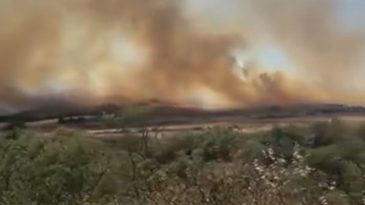 Seferihisar'da Yangın Alarmı: İzmir'in Bir K&ouml;y&uuml;nde Yeni Alevler Y&uuml;kseliyor
