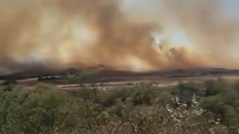 Seferihisar'da Yangın Alarmı: İzmir'in Bir Köyünde Yeni Alevler Yükseliyor