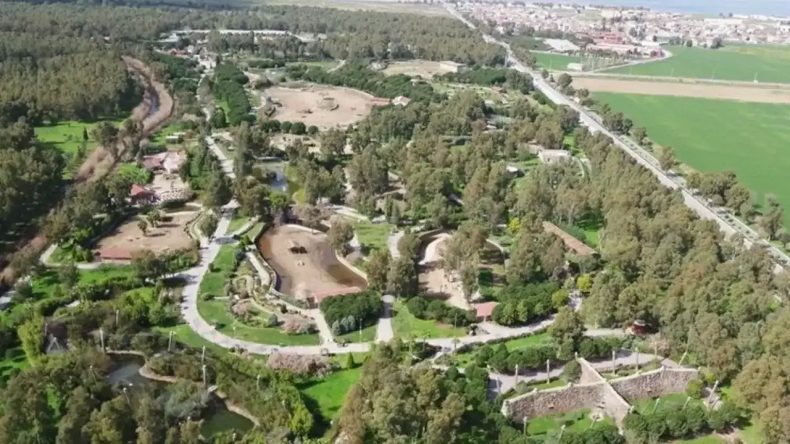 Tasarruf Çağrıları Artıyor: Sasalı Doğal Yaşam Parkı'na Gelen Su Faturası Şaşırttı