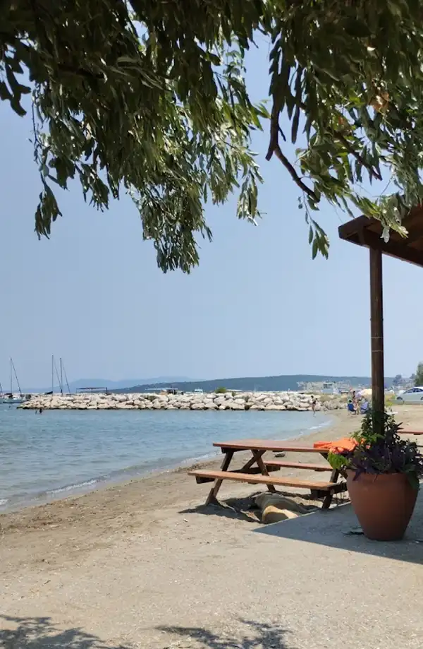 Urit Balıklıova Cafe