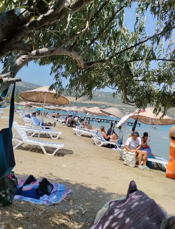 Urit Balıklıova Cafe İç Mekan