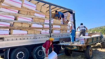 Urla&rsquo;da Yangın Mağduru &Uuml;reticilere 19 Ton Saman Desteği