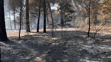 Yangın Sabah Erken Saatlerde Başladı: İzmir&rsquo;de Kayıplar Ortaya &Ccedil;ıktı