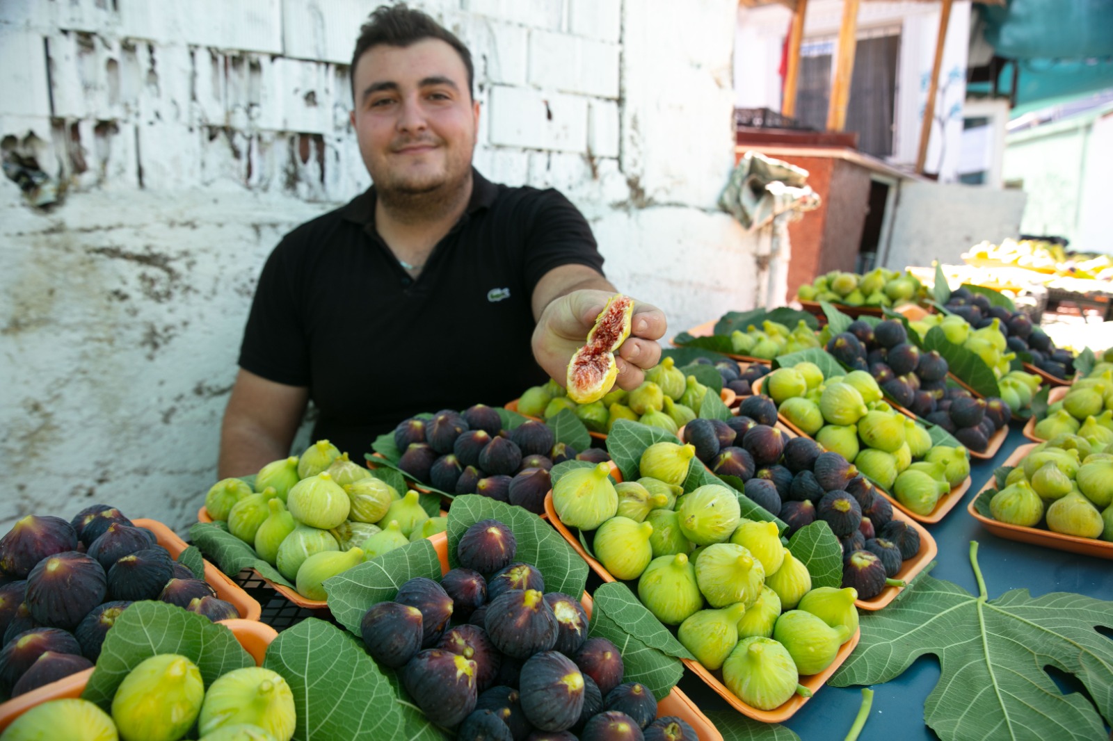 Bardacık Dağıtımı