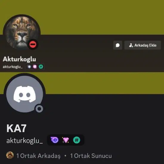Kerem Aktürkoğlu