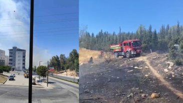 Aliağa'da Endişe Yaratan Orman Yangını: Vatandaşların Yardımıyla S&ouml;nd&uuml;r&uuml;ld&uuml;