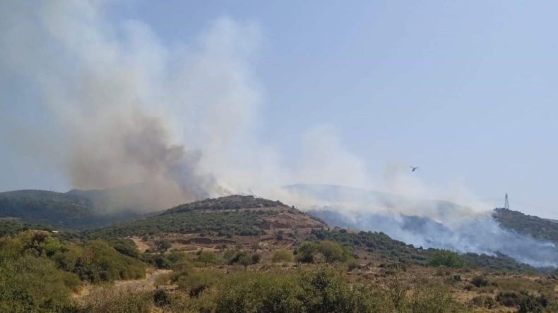 Aliağa'da Makilik Alanda Yangın Çıktı: Müdahale 2 Saattir Devam Ediyor