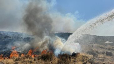Aliağa’da Yangın Alarmı: Sanayi Bölgesine Alev Tehdidi