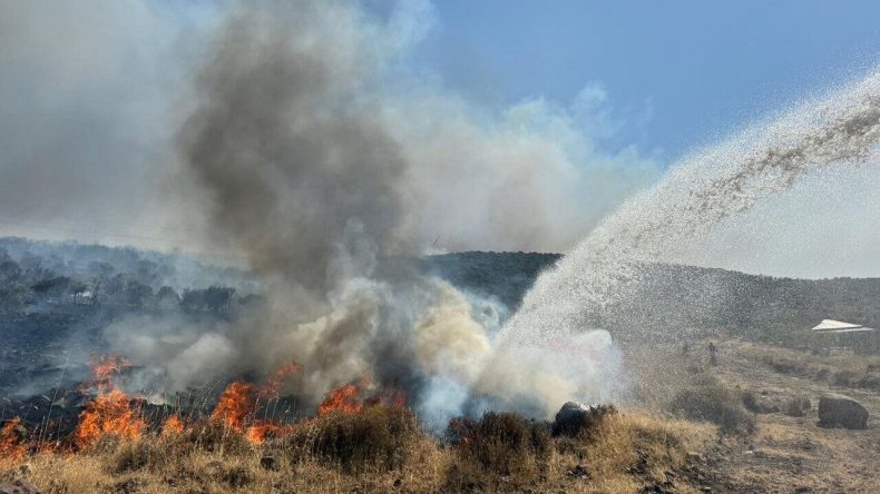 Aliağa’da Yangın Alarmı: Sanayi Bölgesine Alev Tehdidi