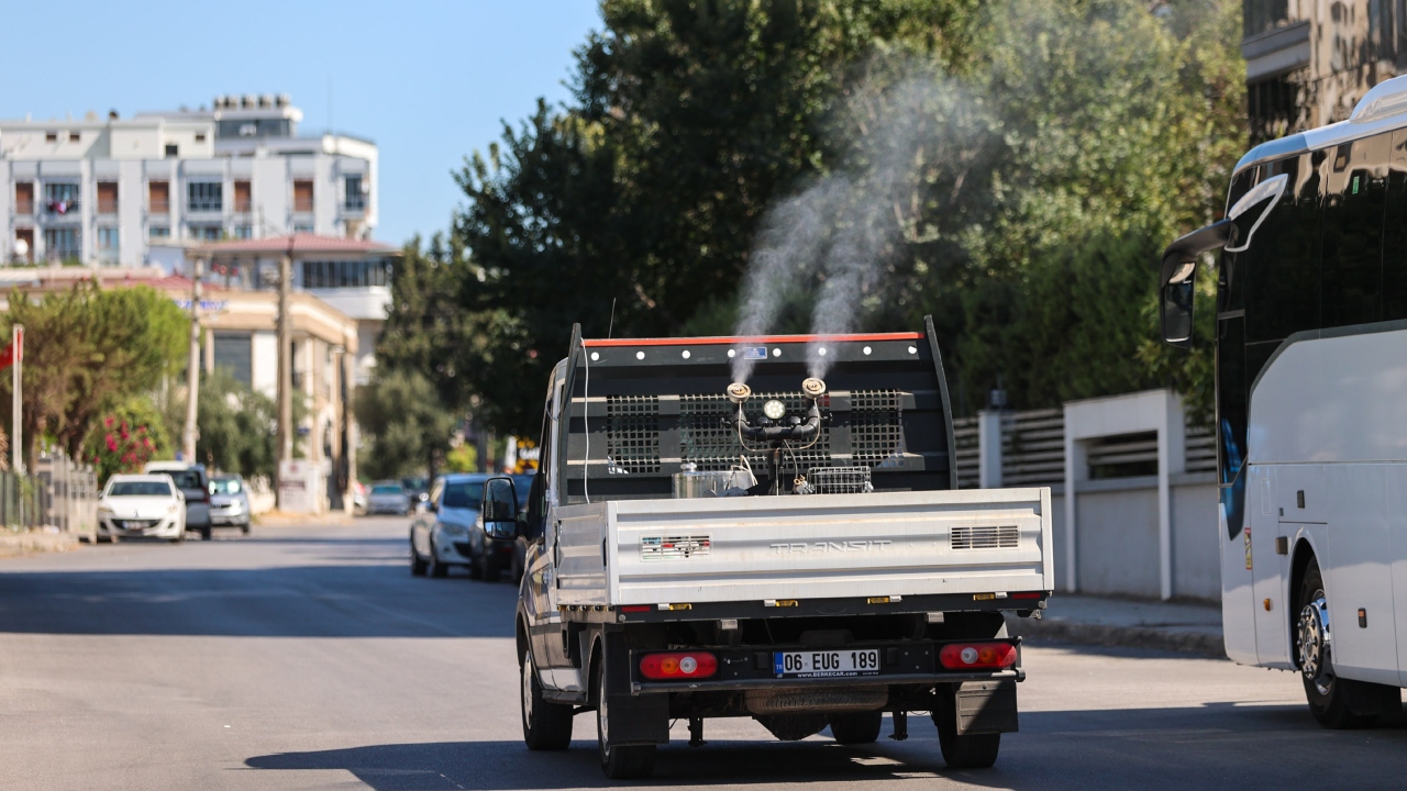 Buca ilaçlama çalışmaları