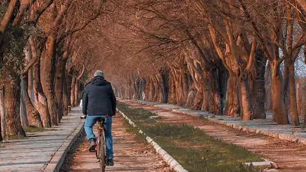 Dutlu Yol Manzarası
