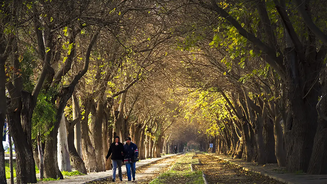 Dutlu Yol Kapak Görseli