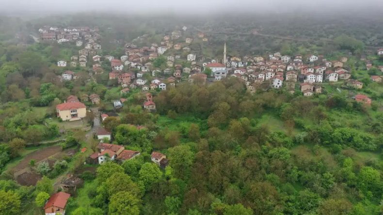 Ege'nin 101 Köylü İlçesi: Orman ve Su Kaynakları ile Kanser Hastalarına Şifa Dağıtıyor