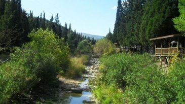 Huzurlu Bir Rotanın Adı: S&uuml;reyya Tabiat Parkı