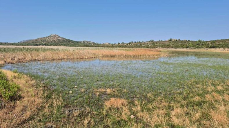 İris Gölü’ne Can Suyu: Yerel İnisiyatiflerden DSİ’ye Çağrı